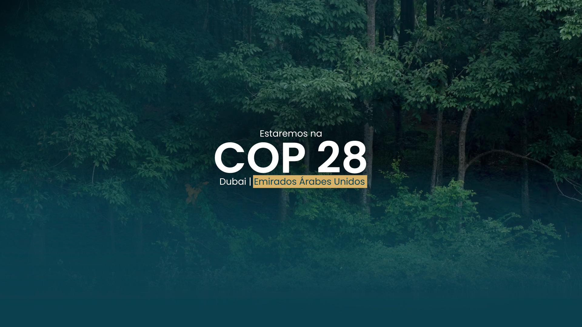 Fênix DTVM participará da COP 28 em Dubai